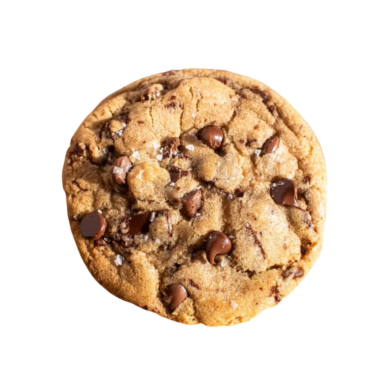 Chippery Chocolate Chip